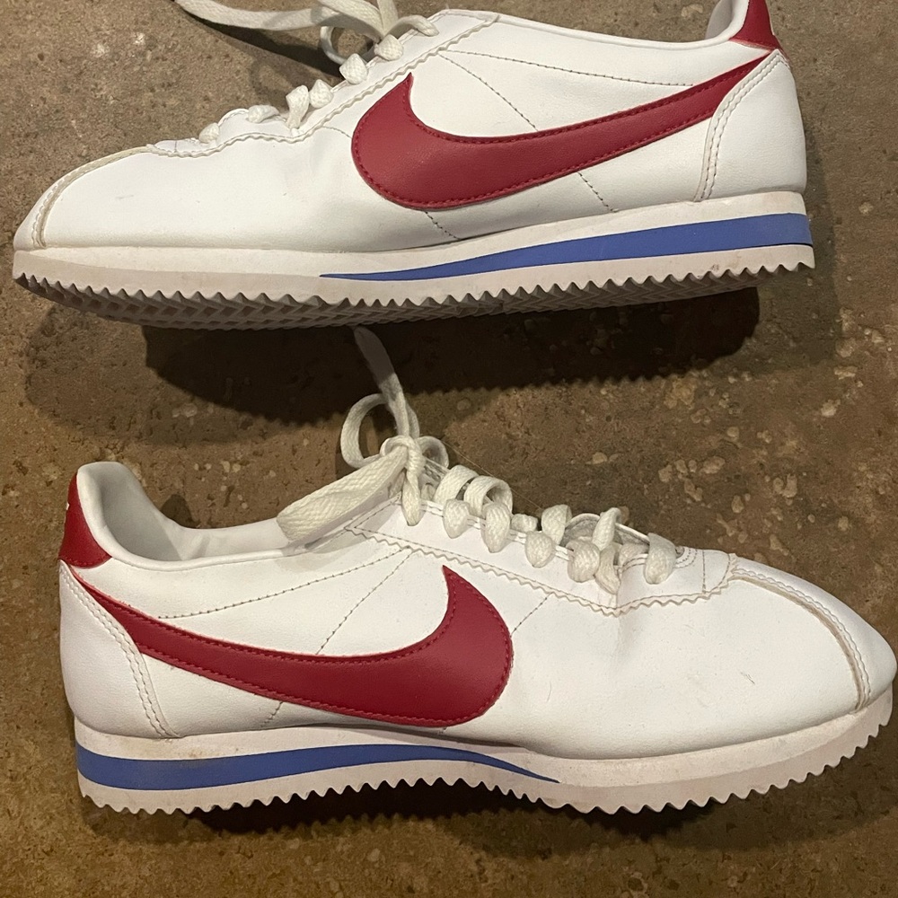 nike shoes. not sure what they are called. great condition.